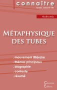 Cover-Bild zum Titel 'Fiche de lecture Métaphysique des tubes de Amélie Nothomb (Analyse littéraire de référence et résumé complet)' von 'Amélie Nothomb'