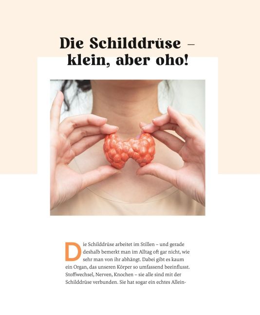 InsideView 13
