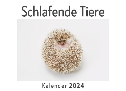 Schlafende Tiere (Wandkalender 2024, Kalender DIN A4 quer, Monatskalender im Querformat mit Kalendarium, Das perfekte Geschenk) - Anna Müller