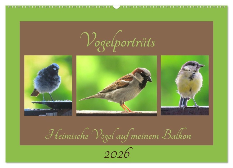 Vogelporträts - Heimische Vögel auf meinem Balkon (Wandkalender 2026 DIN A2 quer), CALVENDO Monatskalender - Claudia Schimmack