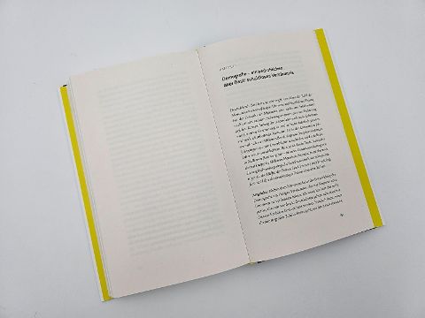 InsideView 6