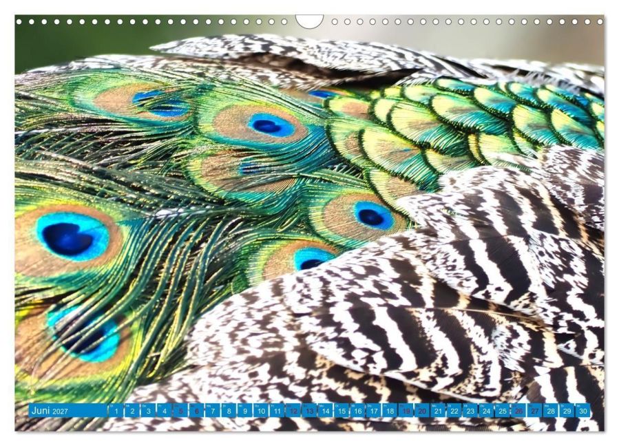InsideView 11