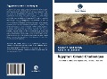 Cover-Bild zum Titel 'Ägypten Grand Challenges' von 'Yousef A. Abd Elrady, Rana M. El_Tabakh'