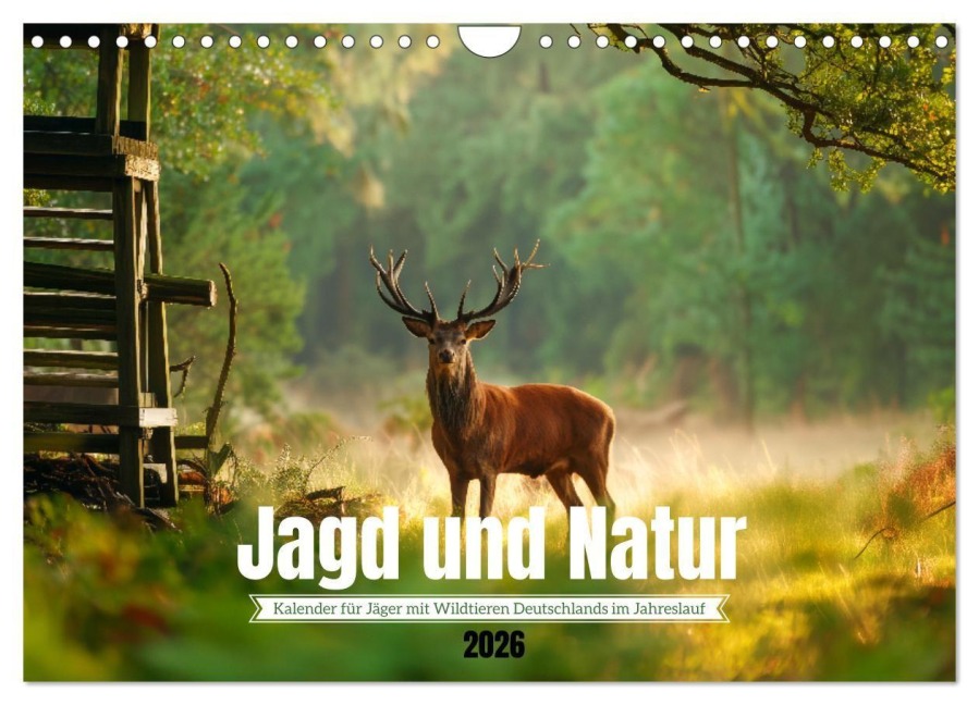 Jagd und Natur - Kalender für Jäger mit Wildtieren Deutschlands im Jahreslauf (Wandkalender 2026 DIN A4 quer), CALVENDO Monatskalender - Mb Fotografie