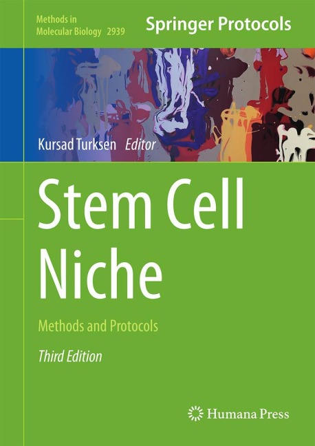 Stem Cell Niche - 