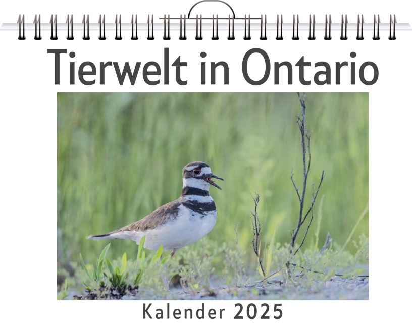 Tierwelt in Ontario - Luisa Günther