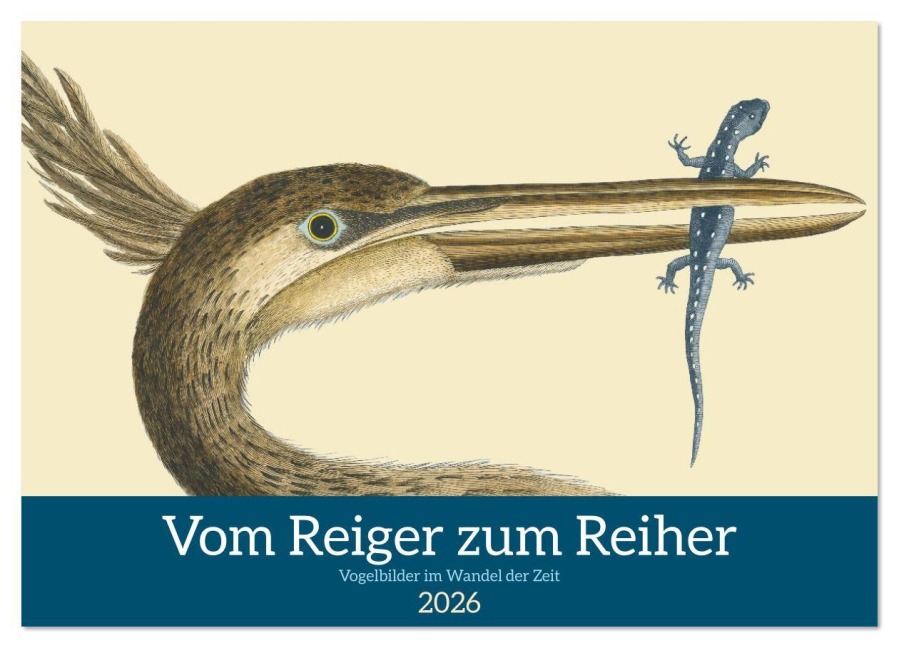 Vom Reiger zum Reiher (Wandkalender 2026 DIN A2 quer), CALVENDO Monatskalender - Iris Editha Schacht