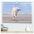 Mit Hunden an den Stränden von Nord- und Ostsee (hochwertiger Premium Wandkalender 2025 DIN A2 quer), Kunstdruck in Hochglanz - Monika Scheurer