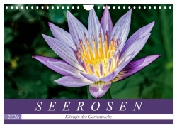 Cover-Bild zum Titel 'Seerosen - Königin der Gartenteiche (Wandkalender 2026 DIN A4 quer), CALVENDO Monatskalender' von 'Dieter Meyer'