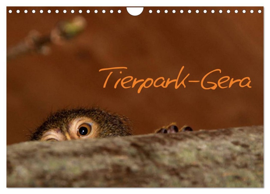 Tierpark-Gera (Wandkalender 2026 DIN A4 quer), CALVENDO Monatskalender - Dieter Elstner