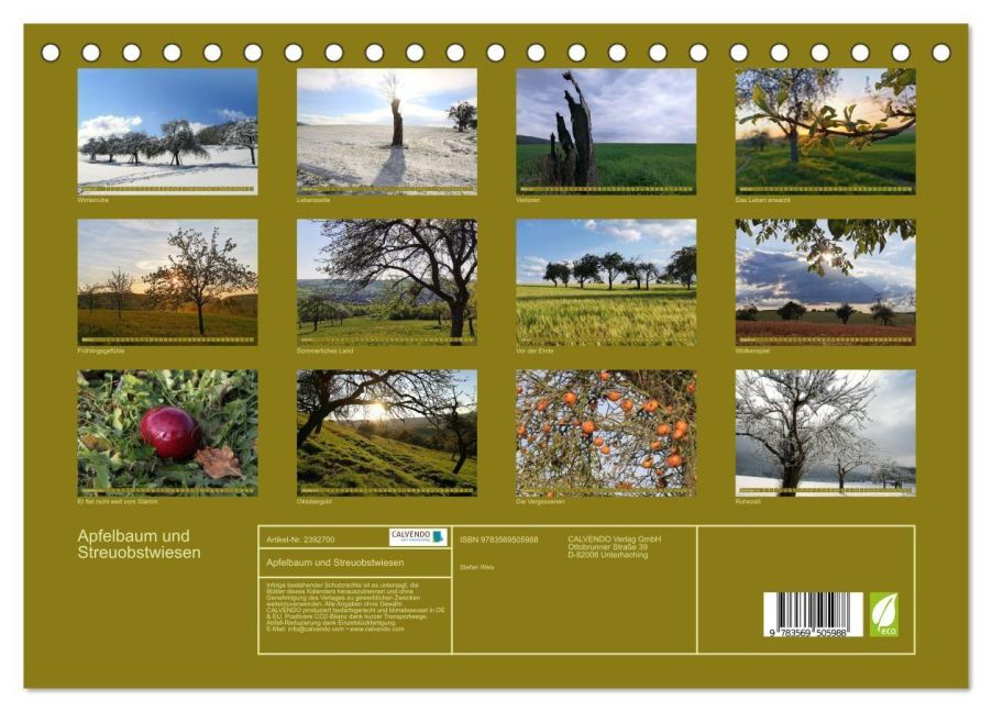 InsideView 5
