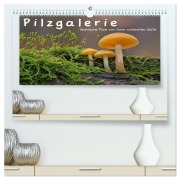 Pilzgalerie - Heimische Pilze von ihrer schönsten Seite (hochwertiger Premium Wandkalender 2026 DIN A2 quer), Kunstdruck in Hochglanz - Beate Wurster