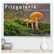 Cover-Bild zum Titel 'Pilzgalerie - Heimische Pilze von ihrer schönsten Seite (hochwertiger Premium Wandkalender 2026 DIN A2 quer), Kunstdruck in Hochglanz' von 'Beate Wurster'