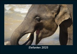 Cover-Bild zum Titel 'Elefanten 2025 Fotokalender DIN A5' von 'Tobias Becker'