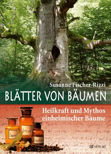 Blätter von Bäumen - Susanne Fischer-Rizzi