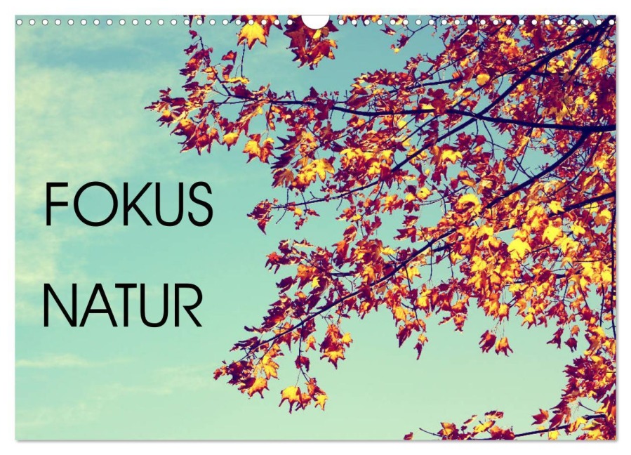 Focus Natur (Wandkalender 2026 DIN A3 quer), CALVENDO Monatskalender - Mandy Neuhof