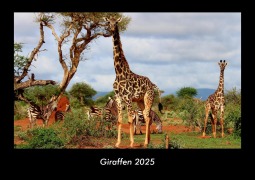 Cover-Bild zum Titel 'Giraffen 2025 Fotokalender DIN A3' von 'Tobias Becker'
