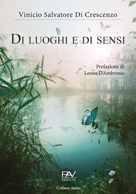 Di luoghi e di sensi - Vinicio Salvatore Di Crescenzo