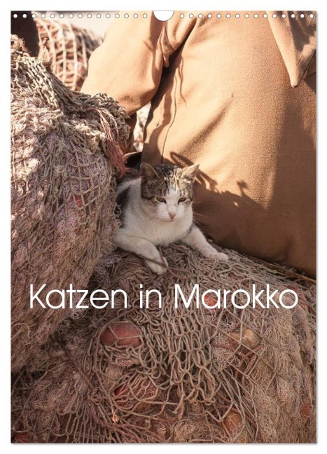 Katzen in Marokko (Wandkalender 2026 DIN A3 hoch), CALVENDO Monatskalender - Anja Klein Andreas Lauermann