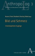 Cover-Bild zum Titel 'Bild und Schmerz' von ''