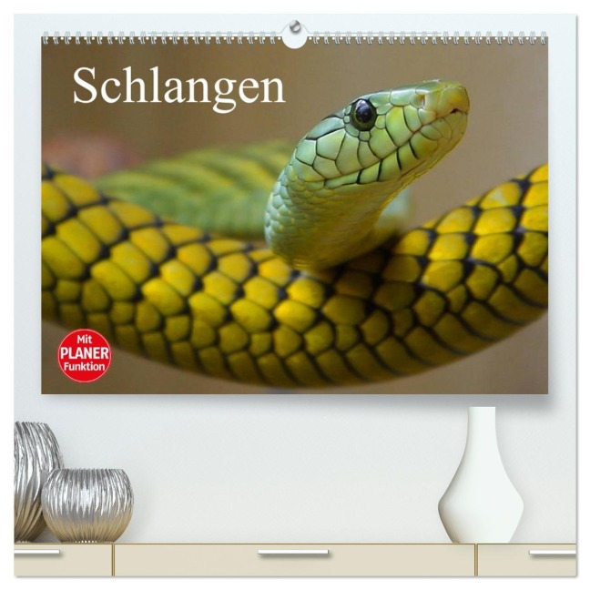 Schlangen (hochwertiger Premium Wandkalender 2026 DIN A2 quer), Kunstdruck in Hochglanz - Elisabeth Stanzer