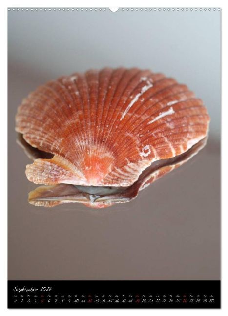 InsideView 14