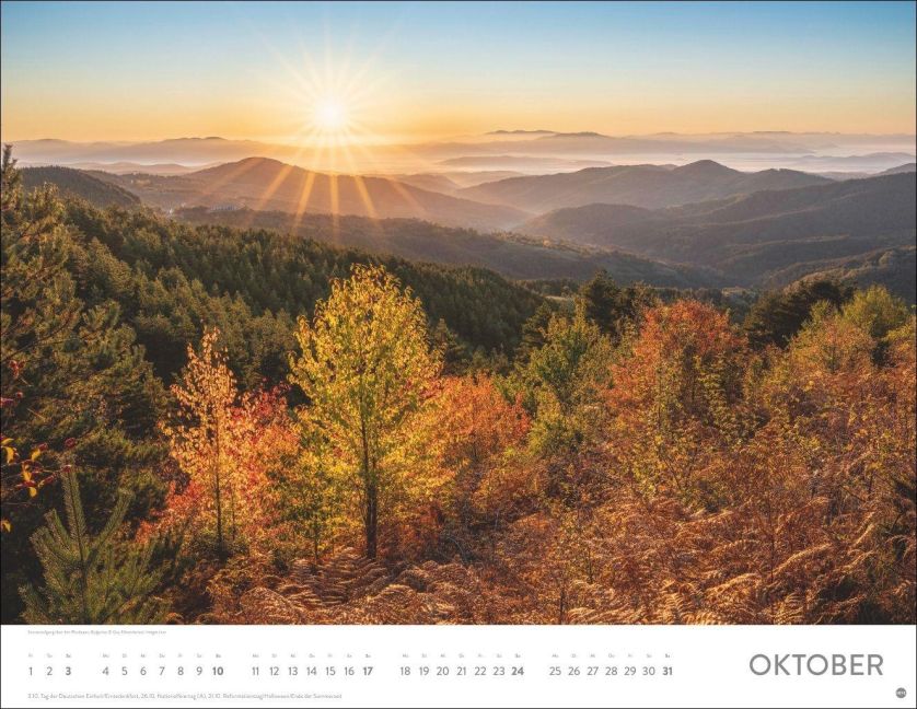 InsideView 10