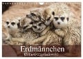 Erdmännchen (Wandkalender 2024 DIN A4 quer), CALVENDO Monatskalender - Elisabeth Stanzer