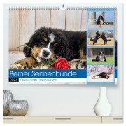 Cover-Bild zum Titel 'Berner Sennenhunde - Faszinierende Herzensbrecher (hochwertiger Premium Wandkalender 2026 DIN A2 quer), Kunstdruck in Hochglanz' von 'Jana K. Fotografie'