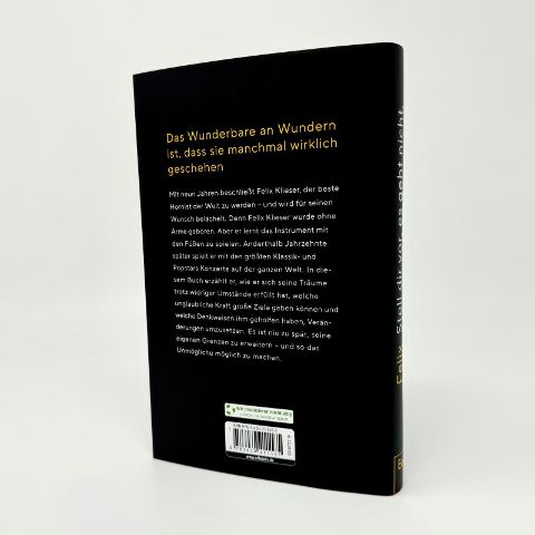 InsideView 2