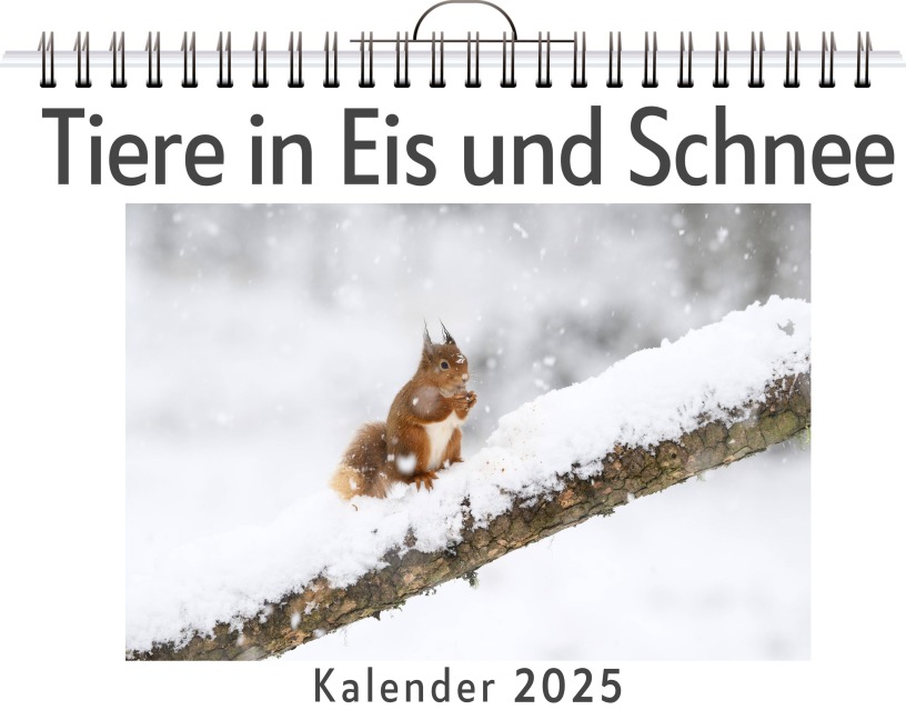 Tiere in Eis und Schnee - Lina Klein