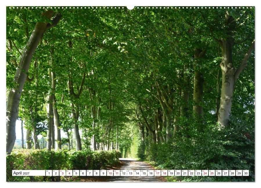 InsideView 9