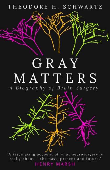 Gray Matters - Theodore Schwartz