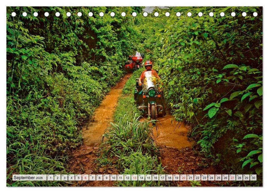 InsideView 14