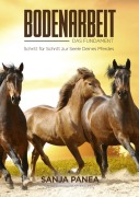 Cover-Bild zum Titel 'Bodenarbeit - Das Fundament' von 'Sanja Panea'