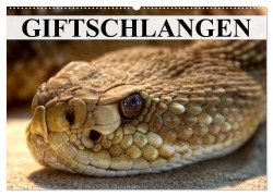 Cover-Bild zum Titel 'Giftschlangen (Wandkalender 2026 DIN A2 quer), CALVENDO Monatskalender' von 'Elisabeth Stanzer'