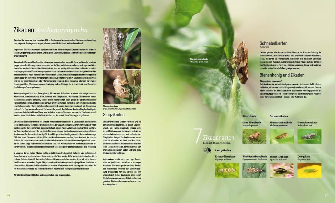 InsideView 20