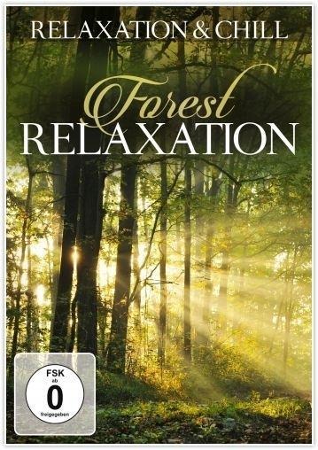 Forest Relaxation - Relaxation & Chill