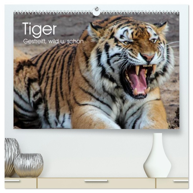 Tiger. Gestreift, wild u. schön (hochwertiger Premium Wandkalender 2026 DIN A2 quer), Kunstdruck in Hochglanz - Elisabeth Stanzer