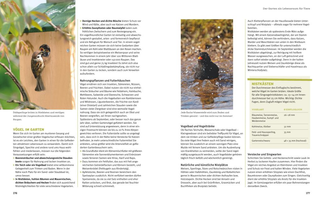InsideView 6