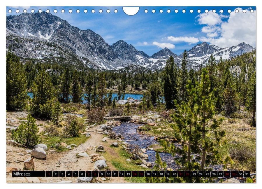 InsideView 8