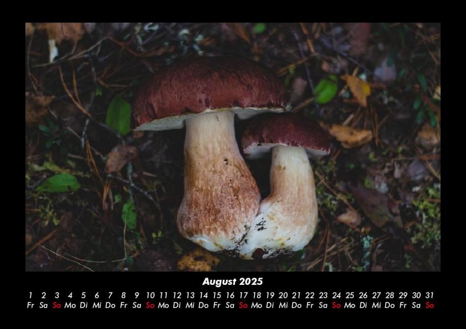 InsideView 12