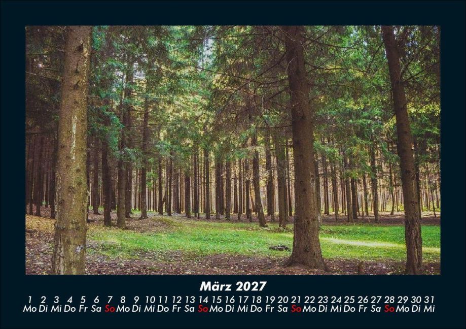 InsideView 7
