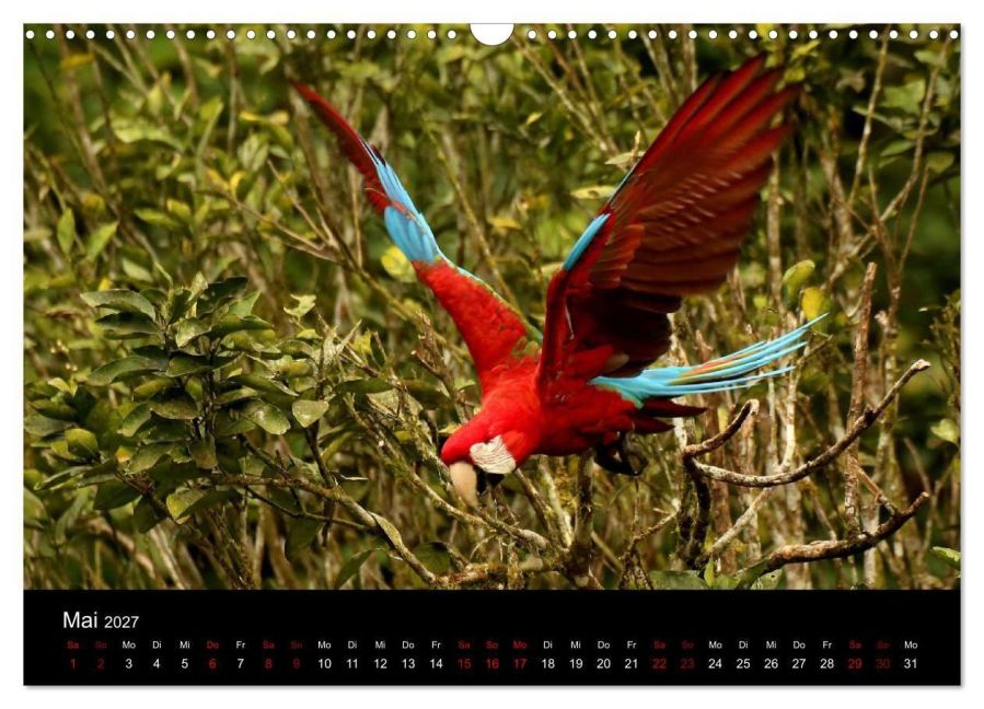 InsideView 10