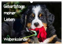 Geburtstage meiner Lieben - Welpenkalender (Wandkalender 2025 DIN A3 quer), CALVENDO Monatskalender - Sigrid Starick