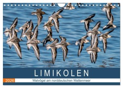 Cover-Bild zum Titel 'Limikolen - Watvögel am norddeutschen Wattenmeer (Wandkalender 2026 DIN A4 quer), CALVENDO Monatskalender' von 'Arne Wünsche'