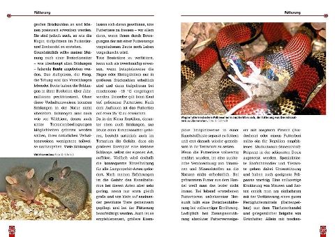 InsideView 2