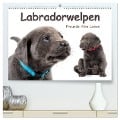 Labradorwelpen - Freunde fürs Leben (hochwertiger Premium Wandkalender 2024 DIN A2 quer), Kunstdruck in Hochglanz - Photodesign Krätschmer