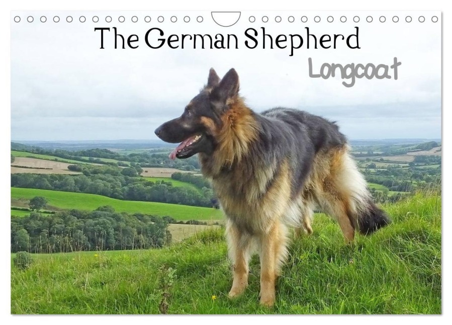 The German Shepherd Longcoat (Wall Calendar 2026 DIN A4 landscape), CALVENDO 12 Month Wall Calendar - Judy Vowles