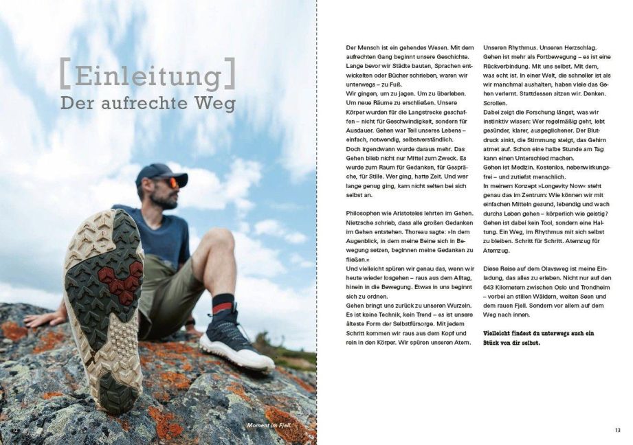 InsideView 5
